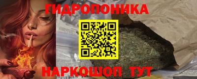 шишки Пенза